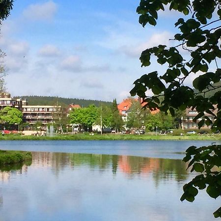 Seesicht Appartements Am Kranichsee Goslar Luaran gambar