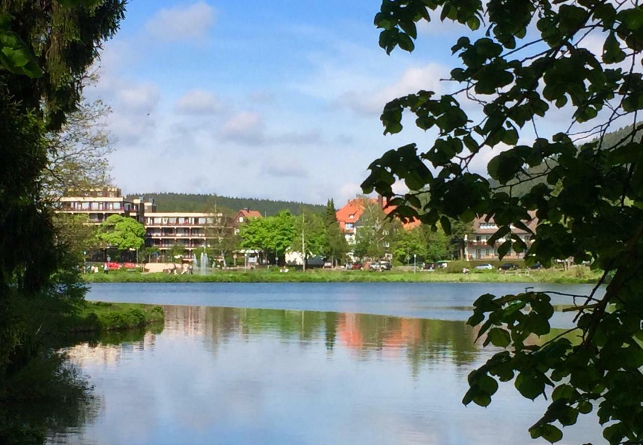 Seesicht Appartements Am Kranichsee Goslar Luaran gambar