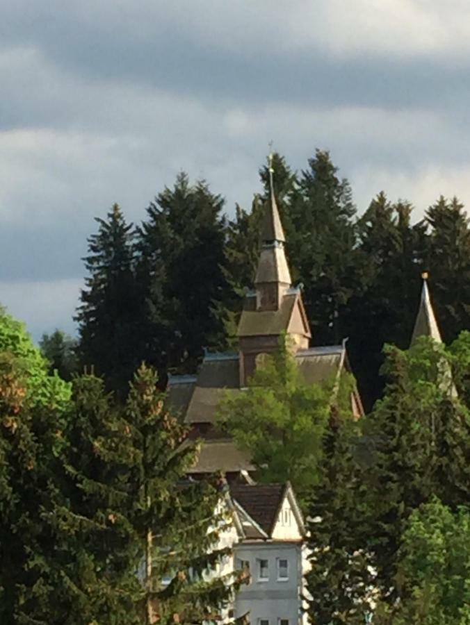 Seesicht Appartements Am Kranichsee Goslar Luaran gambar