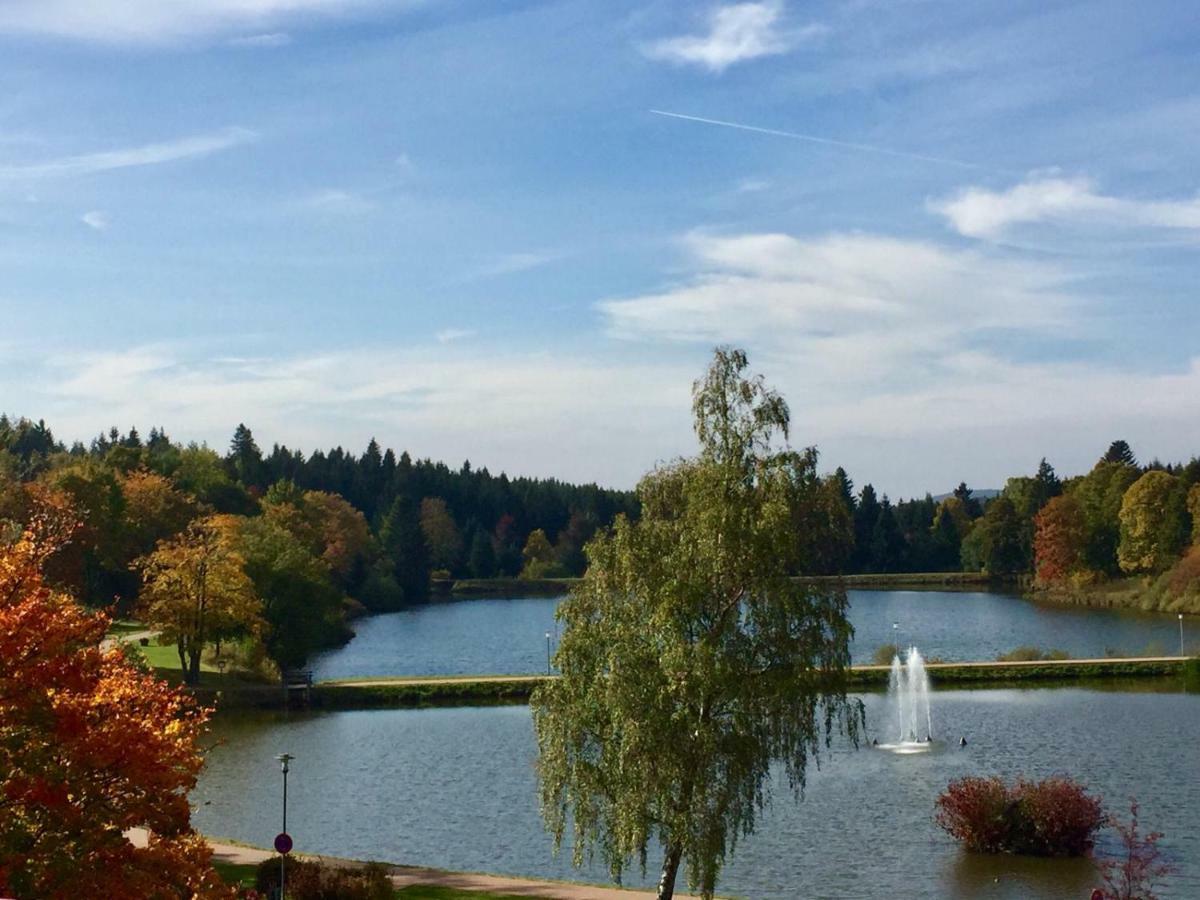 Seesicht Appartements Am Kranichsee Goslar Luaran gambar